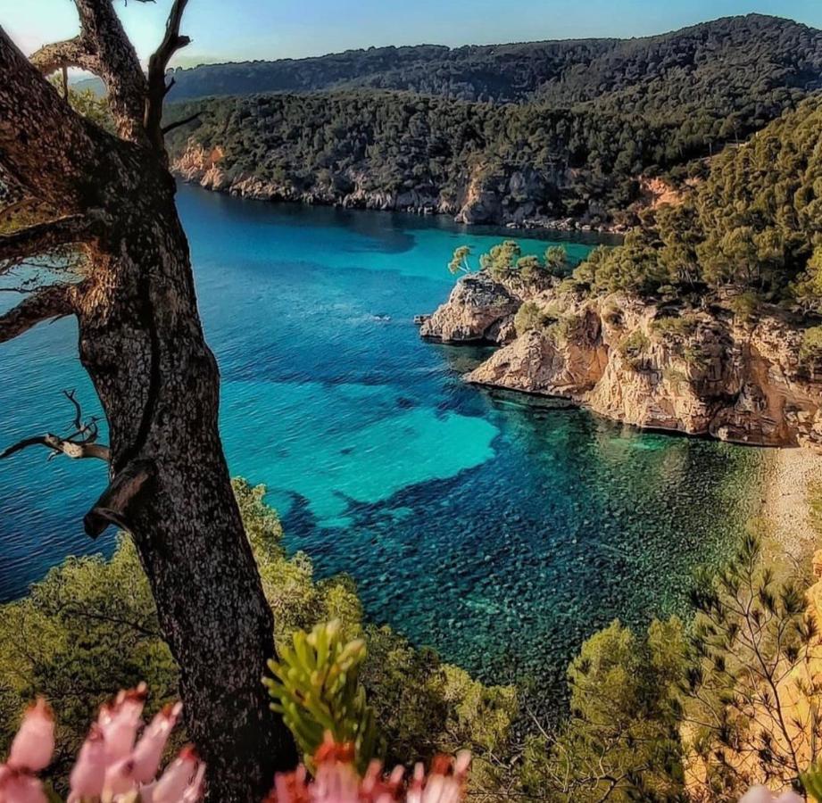 Logement Vue Mer Splendide - Situe A 50 Metres Du Bord De Mer Et 2 Minutes Des Plages - Bandolina 外观 照片