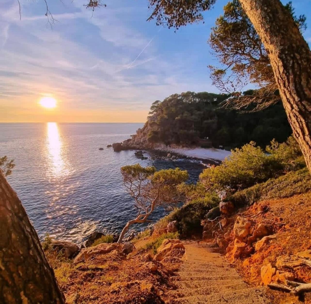 Logement Vue Mer Splendide - Situe A 50 Metres Du Bord De Mer Et 2 Minutes Des Plages - Bandolina 外观 照片