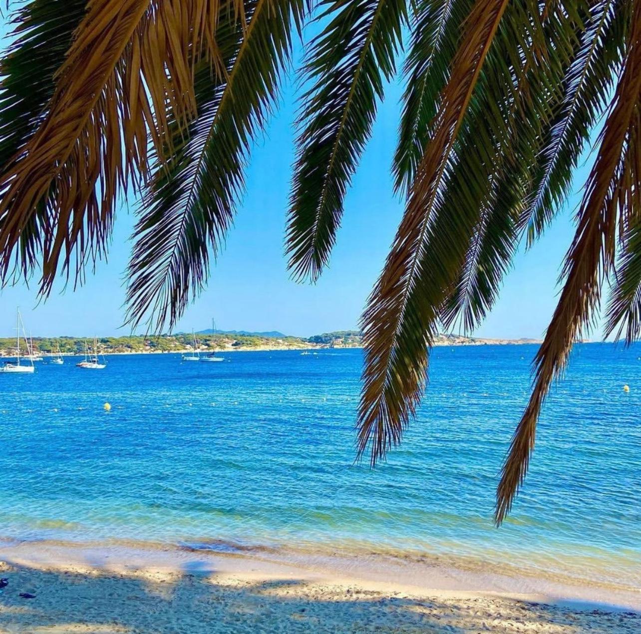 Logement Vue Mer Splendide - Situe A 50 Metres Du Bord De Mer Et 2 Minutes Des Plages - Bandolina 外观 照片