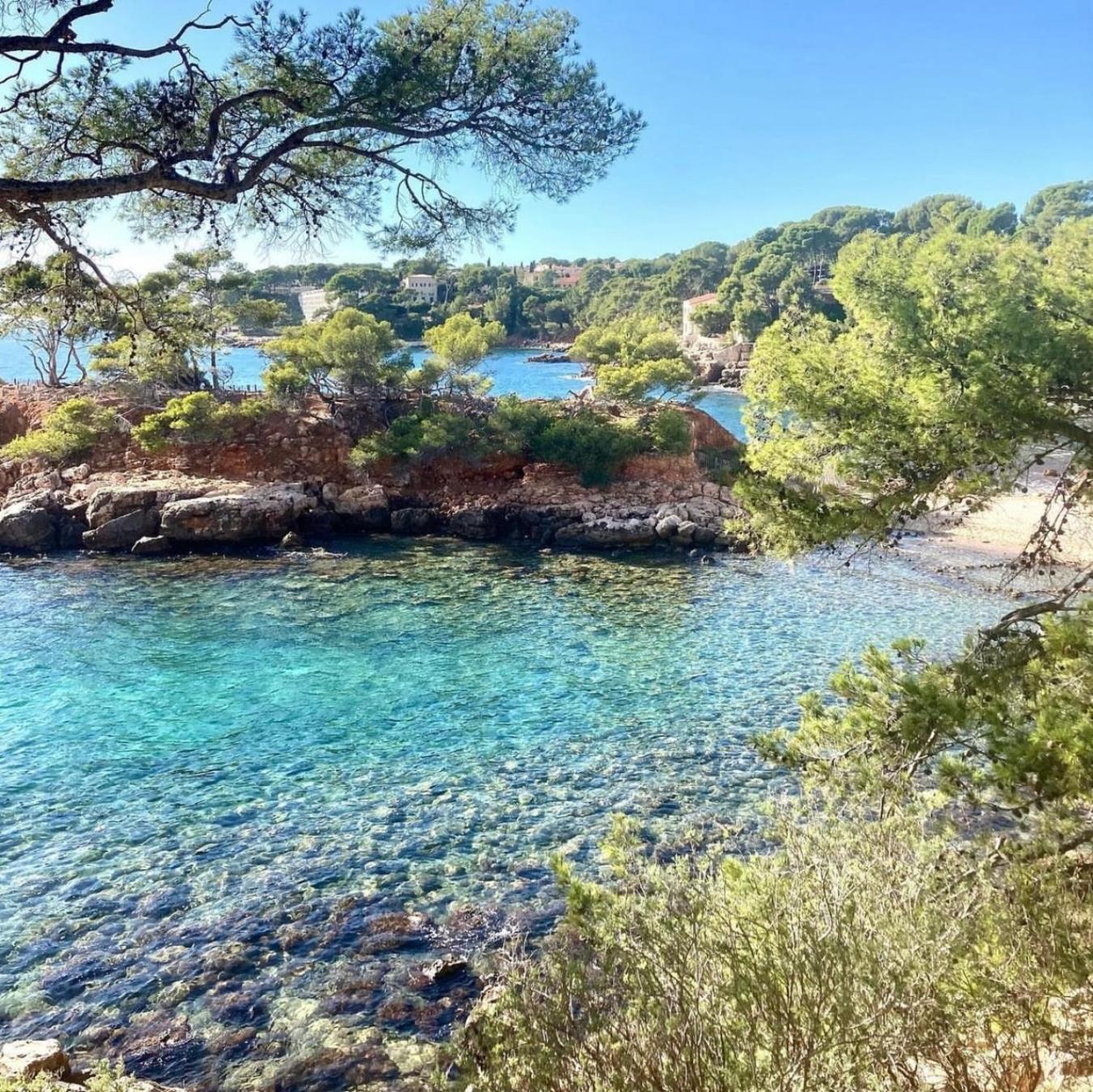 Logement Vue Mer Splendide - Situe A 50 Metres Du Bord De Mer Et 2 Minutes Des Plages - Bandolina 外观 照片